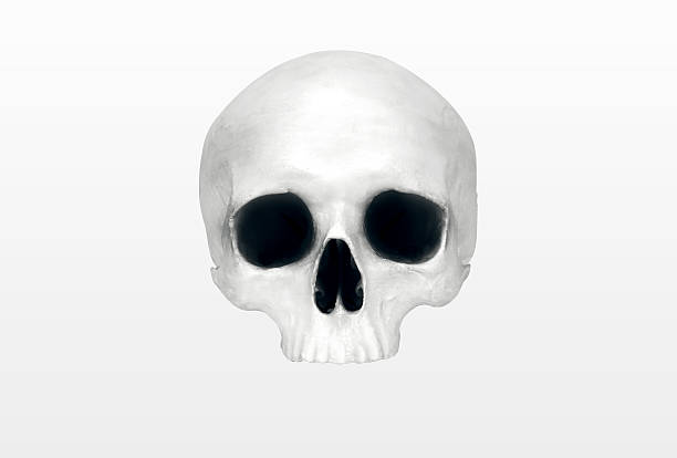 istock close up of a skeleton on white background 469981282