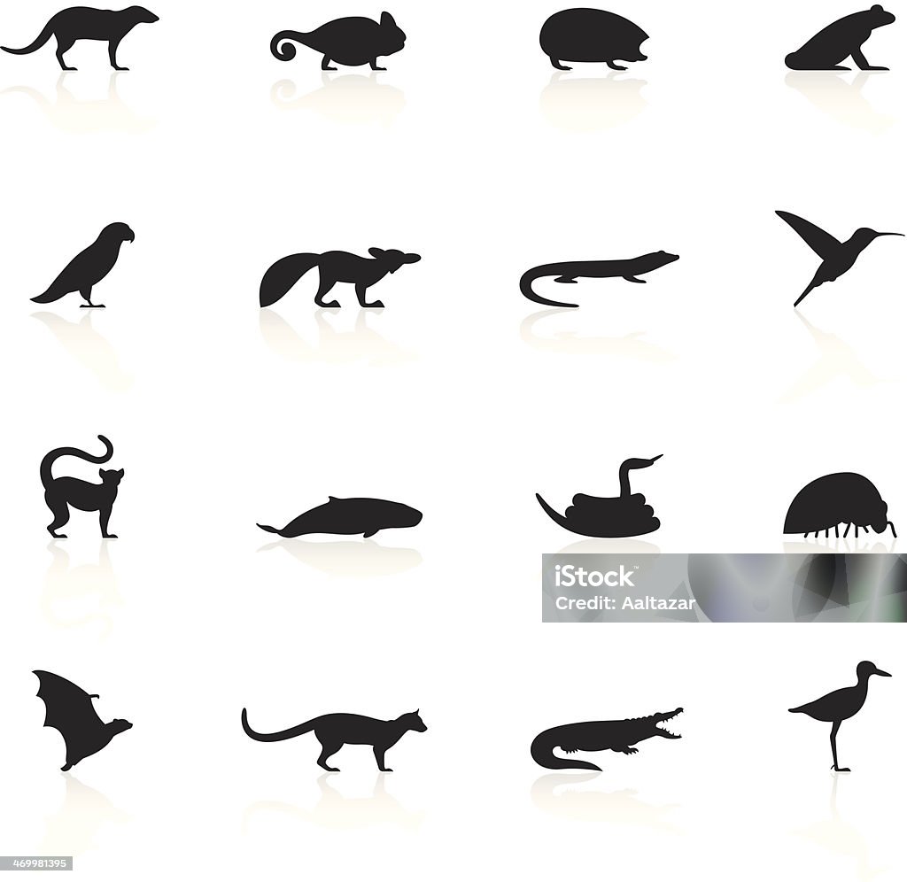 Black Symbols - Madagascar Animals Illustration representing different wild animals. In Silhouette stock vector
