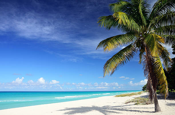 caribbean spiaggia - varadero beach foto e immagini stock