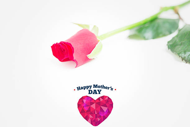 Pink rose with stalk and leaves against happy mothers day