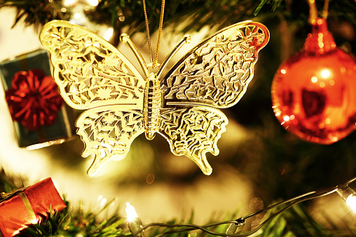 The gold butterfly Decorate on Christmas Tree celebration for background 