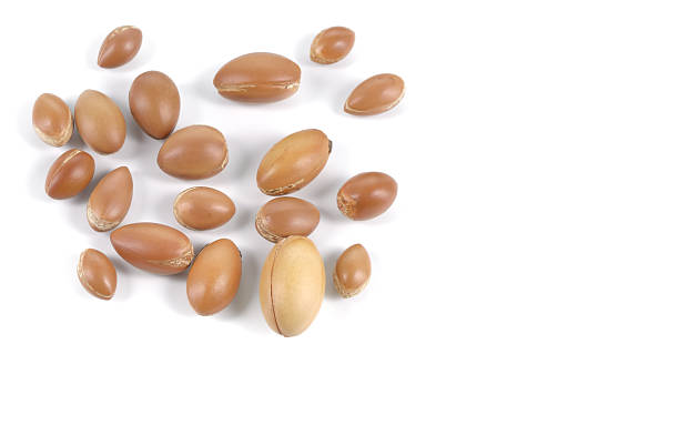 istock Group of argan nuts on a white background. 469985447