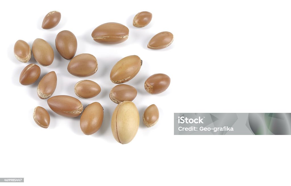 Group of argan nuts on a white background. - Royalty-free Argan Ağacı Stok görsel