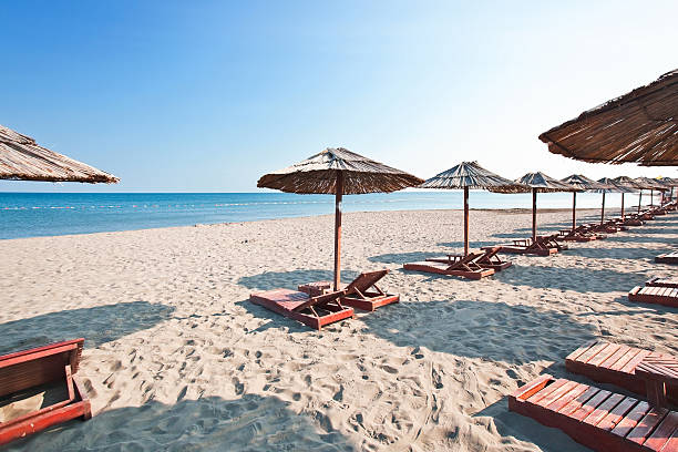 istock sunbeds and parasols on the beach 469986575