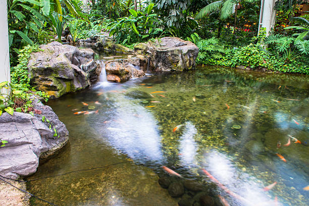istock Water fountain in garden or park 469986825