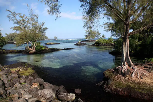 A good swimming spot in the suburbs of Hilo where turtles come into the fresh water to rid themselves of marine parasites