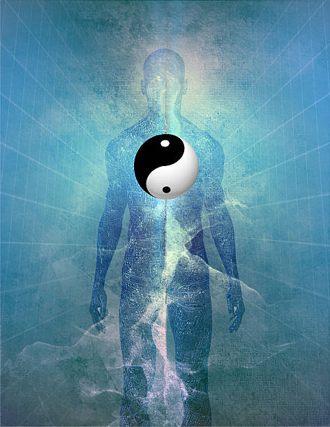 yin yang humana - tao symbol imagens e fotografias de stock