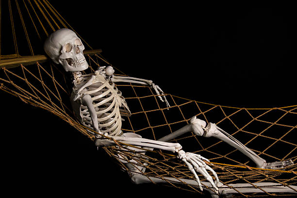 Human skeleton swinging on hammock stock photo