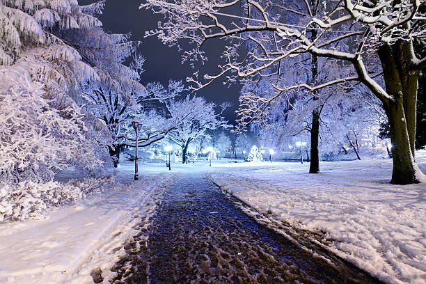 Central park in Riga, Latvia at winter night