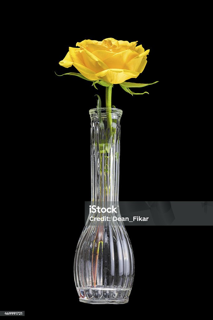 Giallo rose in un vaso - Foto stock royalty-free di Bellezza