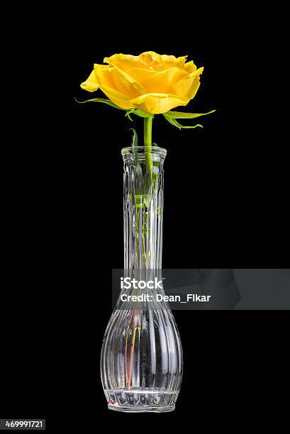 Giallo Rose In Un Vaso - Fotografie stock e altre immagini di Bellezza - Bellezza, Bicchiere, Capolino