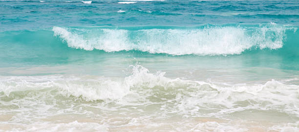 istock Caribbean Dream beach .Summer beach. 469994581