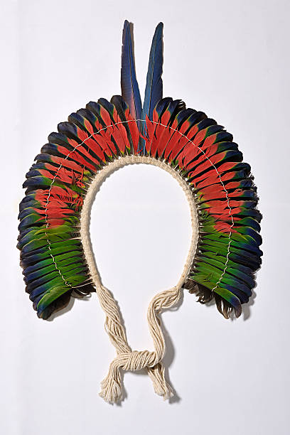 istock Indian headdress 469995559
