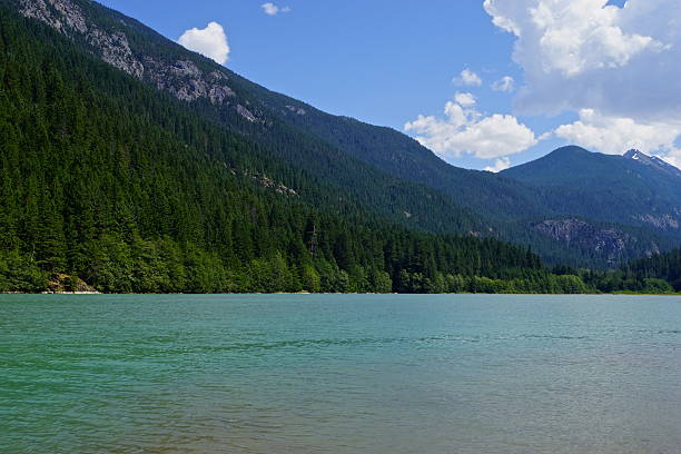 Fog, pine forest and mountains, Lake Crescent at Olympic National Park