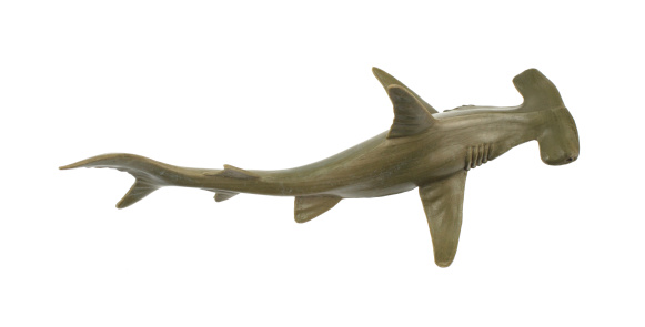 A toy hammerhead shark on a white background.