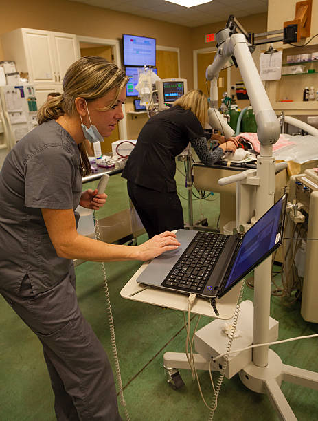 istock Veterinary Team Takes Dental Xrays of Small Dog 470001347