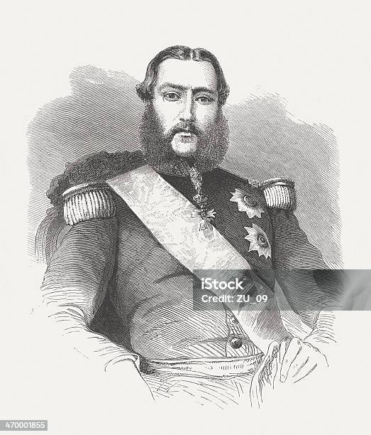 벨기에의 레오폴드 2 세 Leopold II of Belgium에 대한 스톡 벡터 아트 및 기타 이미지 - Leopold II of Belgium, 국왕, 군체