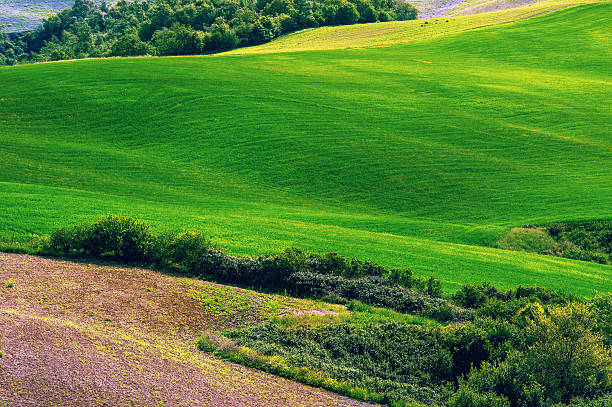 istock Tuscany - Italy 470005600