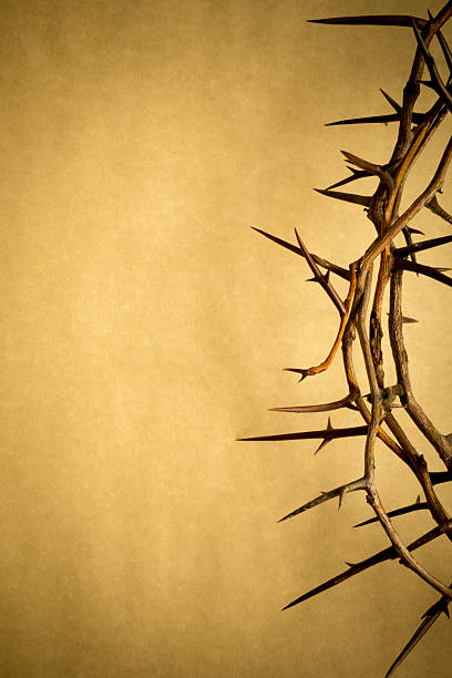 가시관 은 예수스 crucifixion 좋은 금요일이요 - easter crown of thorns forgiveness savior 뉴스 사진 이미지