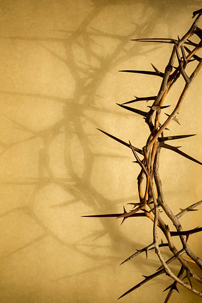 가시관 은 예수스 crucifixion 좋은 금요일이요 - easter crown of thorns forgiveness savior 뉴스 사진 이미지