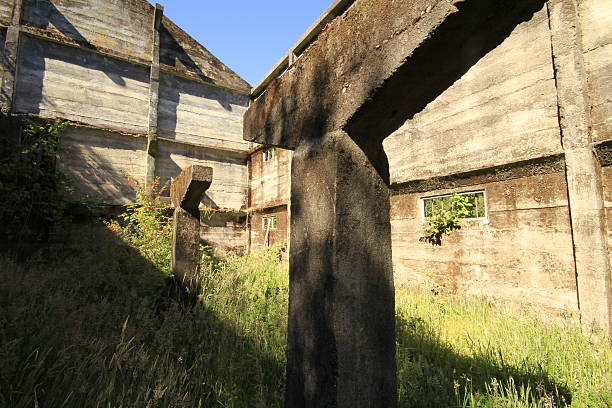 istock Nature Sanctuary, Valdivia South America 470008866