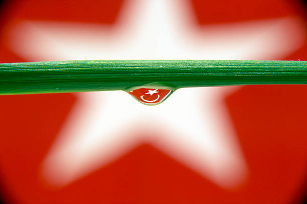 Türkische Flagge – Foto