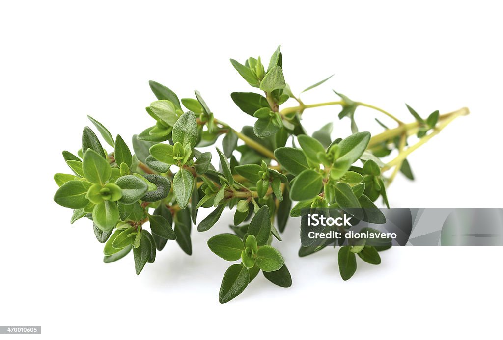 Thyme spice Thyme spice in closeup Thyme Stock Photo