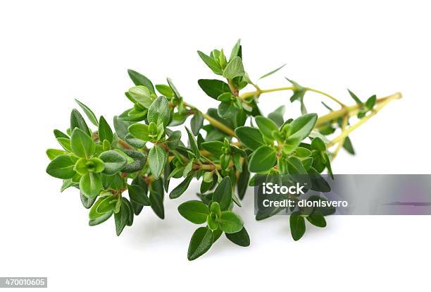 Thyme Spice Stock Photo - Download Image Now - Thyme, Close-up, Cut Out