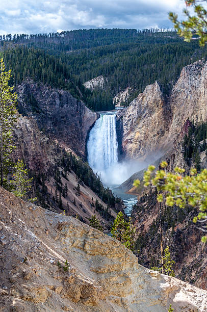 Full view of the Lower Yellowstone Falls Lower Yellowstone Falls at the Yellowstone national park. grand canyon of yellowstone river stock pictures, royalty-free photos & images