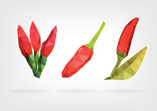 niski poli ptaki oka lub chilies tajlandii - chili pepper spice thailand food stock illustrations