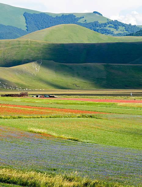 istock Piano Grande di Castelluccio (Italy) 470012984