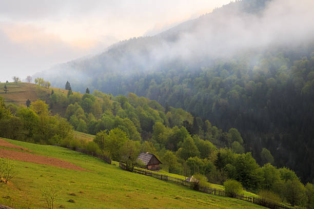 istock Spring landscape in the Carpathian mountains 470017050