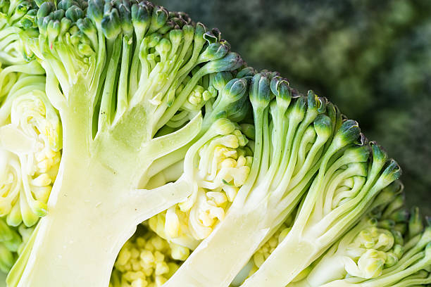 istock broccoli macro photograhy 470018710