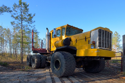 This industrial tractor sits ready to carry a load of logs from a logging operation on a tree farm on Maryland's eastern show on a bright spring morning.