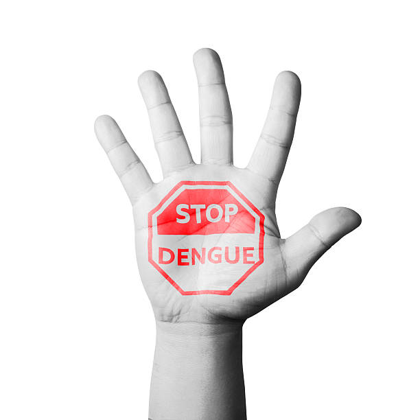 盛り上がった、オープンハンドペイント dengue 停止の標識 - epidemic paint virus illness ストックフォトと画像