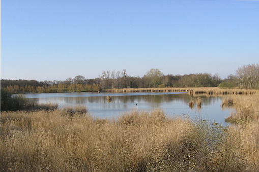 Landscapes of Sologne - Ponds 