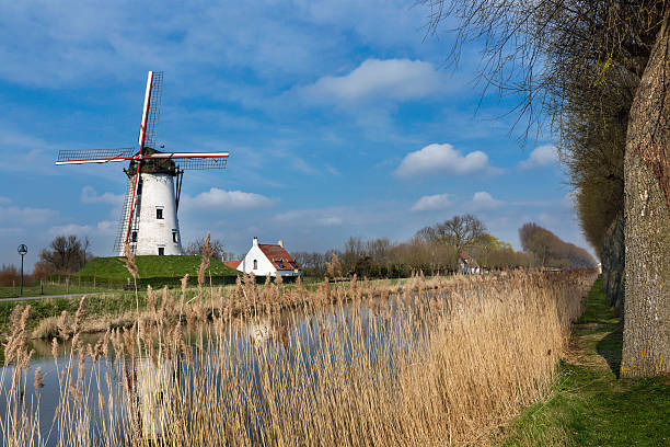 Houses, bushes and grove along canal with sky reflected on water, in the late afternoon light and blue sky, near Damme. A quiet and charming countryside old village near Bruges. Northwestern Belgium.