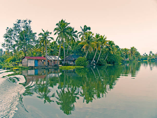 istock Coconut palm trees at backwaters, Alleppey, Kerala, India 470027564