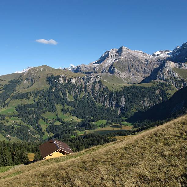 istock Lake Lauenensee and mountains 470032224