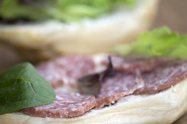 istock sandwich at the milan salami 470032924