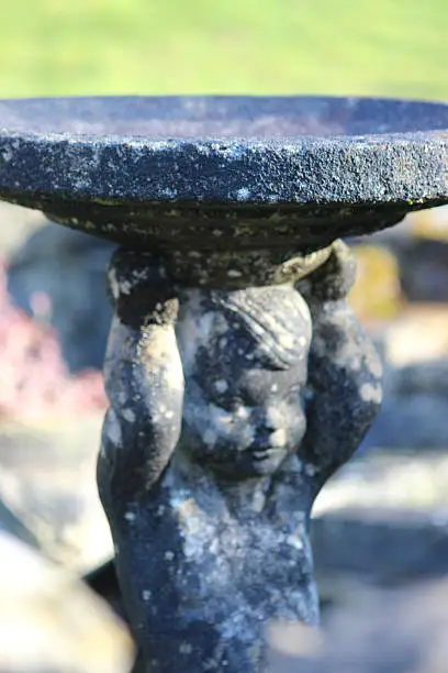 Photo showing a stone boy birdbath in a back garden, where the bath / saucer is being held above the statue's head and supported by his hands.  The birdbath is many decades old and is pictured in the sunshine, with the garden lawn in the background.