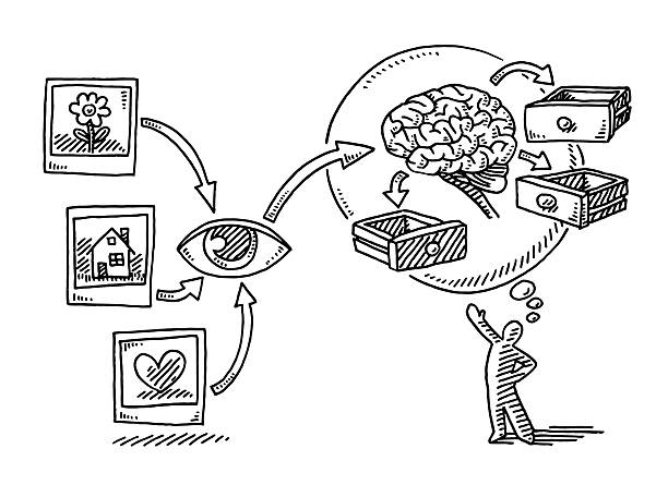 Visual Thinking Infographics Eye Brain Drawing Hand-drawn vector drawing of a Visual Thinking Infographics. Pictures of a Flower, a House and a Love Heart are getting through an eye into the brain. The Pictures were archived into drawers. A Stick Figure with a Thought Bubble is presenting the Infographics. Black-and-White sketch on a transparent background (.eps-file). Included files are EPS (v10) and Hi-Res JPG. brain photos stock illustrations