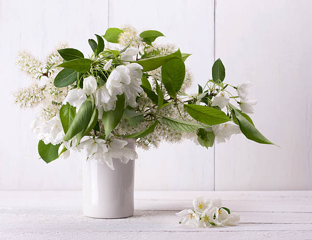 istock Apple and bird-cherry flowers in a white vase 470040804