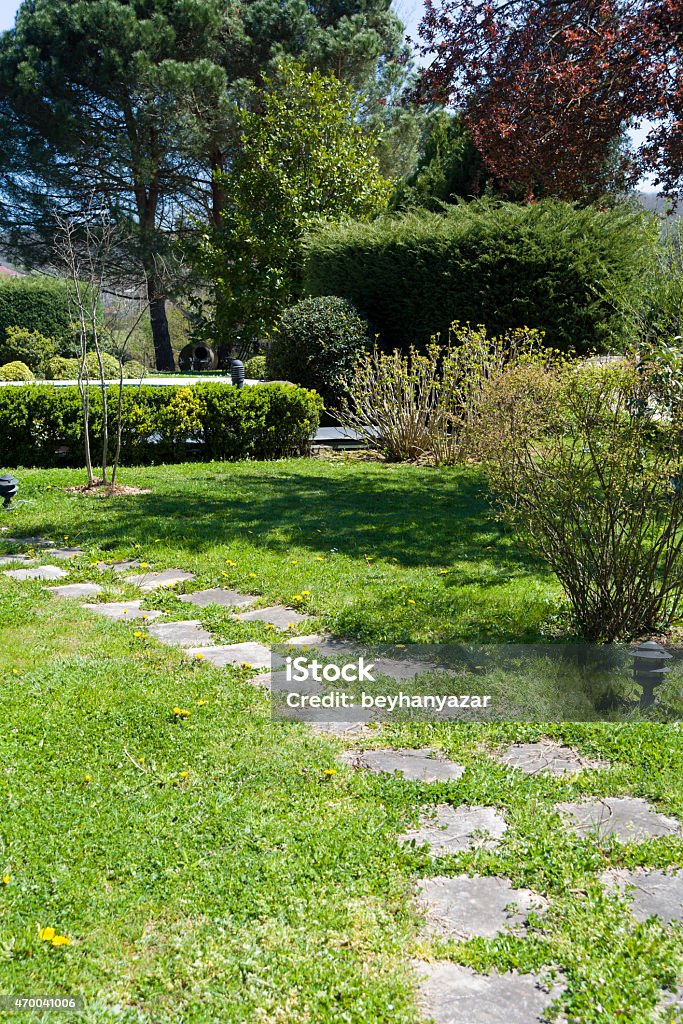 Garden Vertical green big garden. 2015 Stock Photo