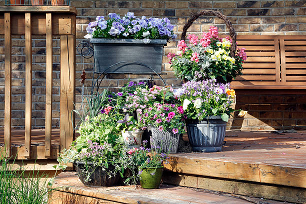 Spring Garden Spring container garden angelonia stock pictures, royalty-free photos & images