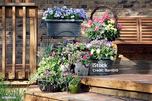 Spring Garden Stock Photo - Download Image Now - Copy Space, Dusty Miller, Flower