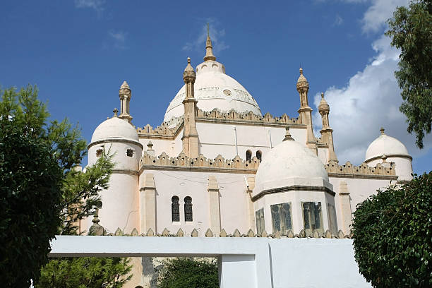 istock Cathedral of Saint-Louis Carthage 470050981