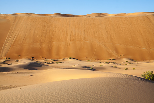 Desert Landscape showing a large Tsunami-like wall of sand showing the contrasts in desert topography. 
