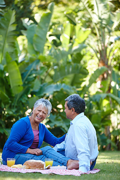 istock Picnic in the park 470056358