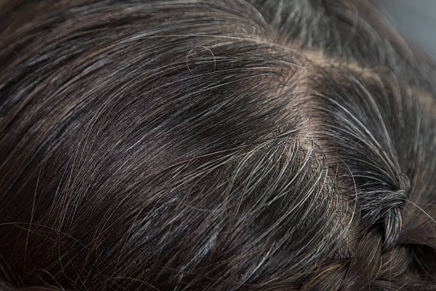 istock Closeup gray and dark roots hair 470056574